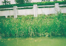 热能技术与环保科技的融合 推动可持续发展的关键力量